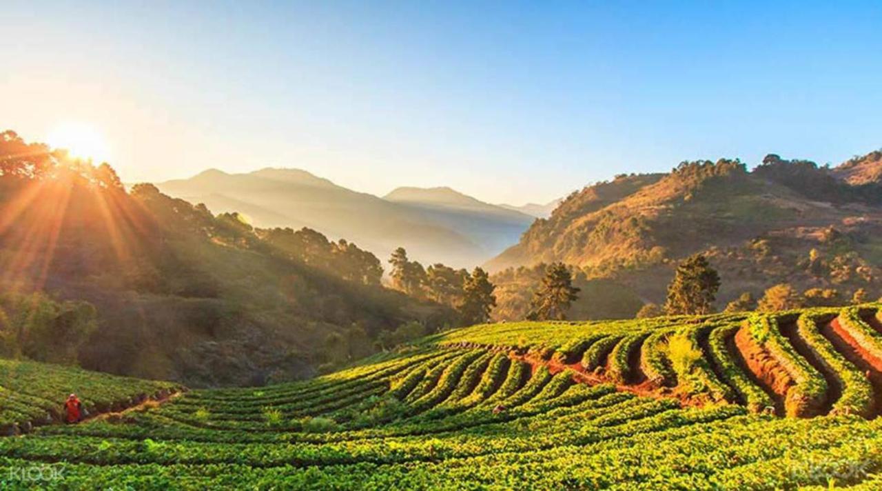 A Pousada One Night Zleep At Nimman Chiang Mai Exterior foto